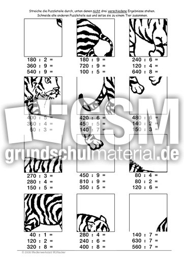 Tiger.pdf